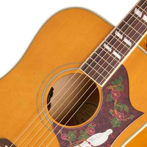 Epiphone Dove Vs Hummingbird: Which Acoustic Suits You