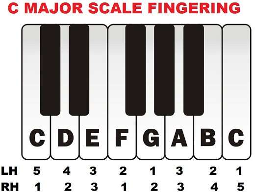 How To Play C Major Scale On Piano: Easy Beginner Guide