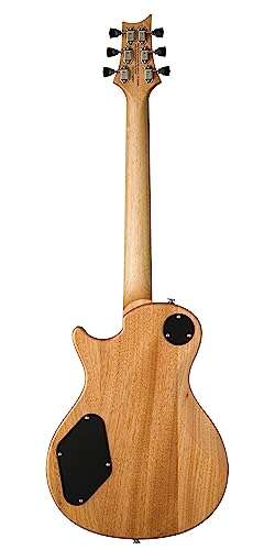 Prs Se Zach Myers Guitar Review