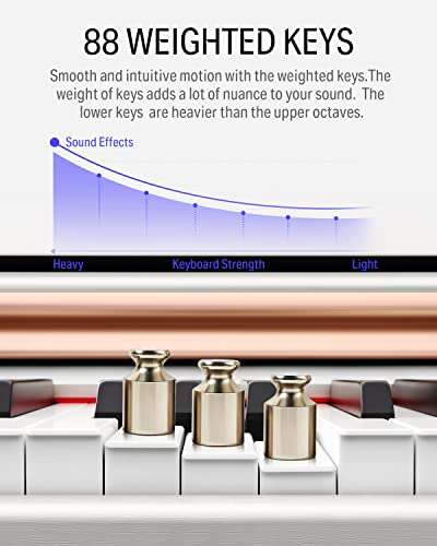 Donner DDP-100 88-Key Digital Piano Reviews