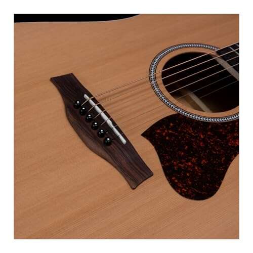 Seagull S6 Acoustic Guitar Review: Honest Pros & Cons