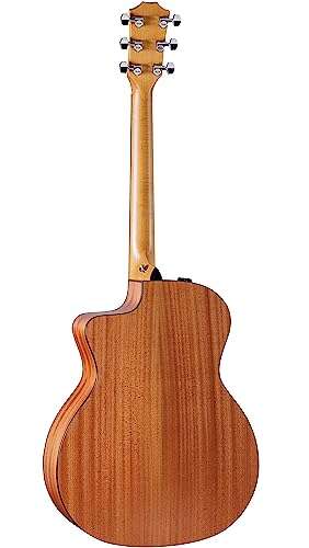 Taylor 114ce Acoustic Guitar Product Info And Reviews: Tips