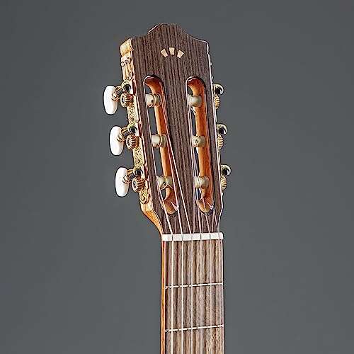 Cordoba C5 Classical Guitar Review: Best Value Pick