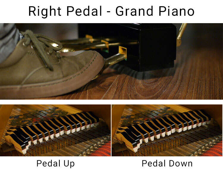 What Do Piano Pedals Do