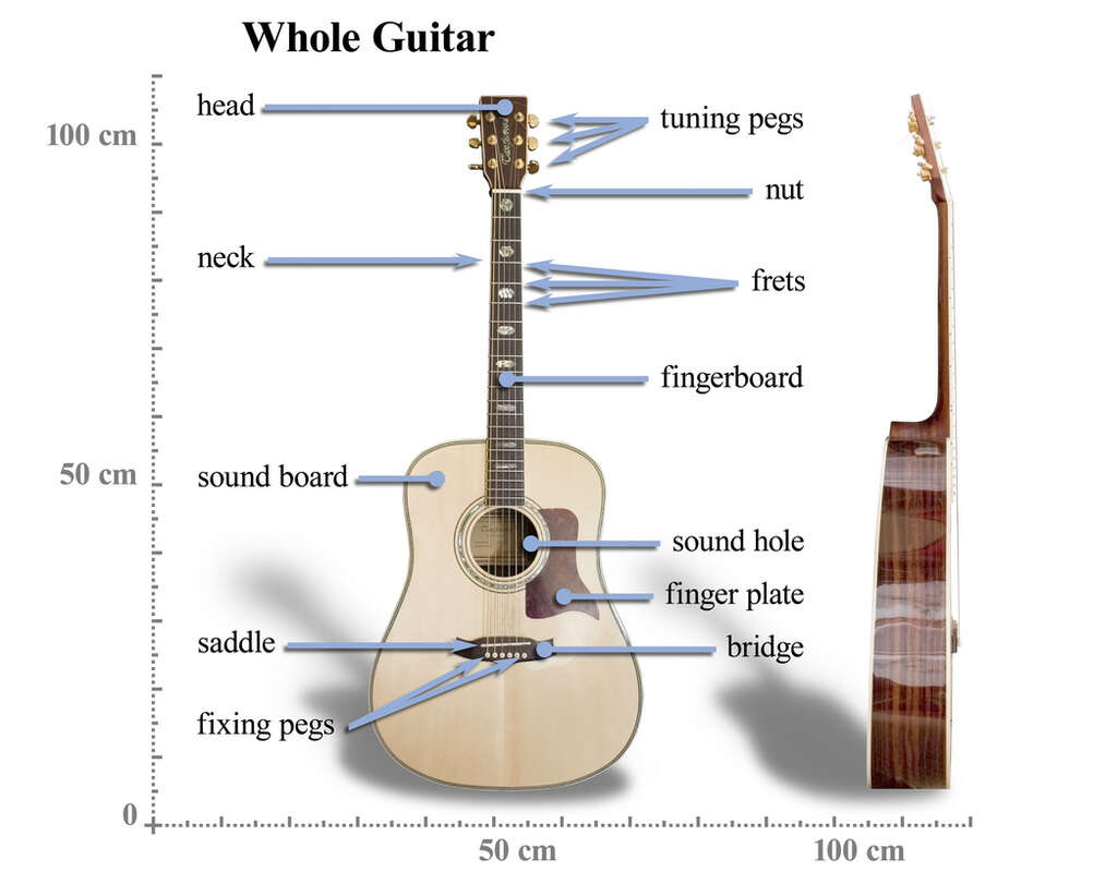 What Is A Fret On A Guitar: The Complete 2026 Guide