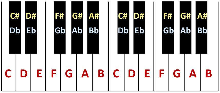 How Many Black Keys Are On A Piano: The 2026 Expert Guide