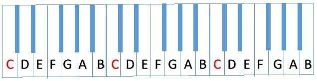 How Many White Keys Are On A Piano: The 2026 Guide