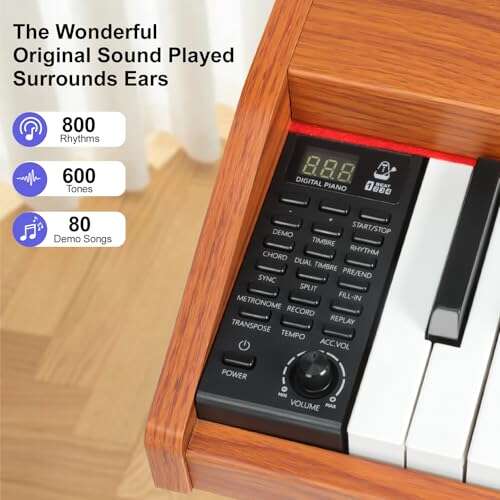 Best Acoustic Pianos For Beginners: Top New Player Picks