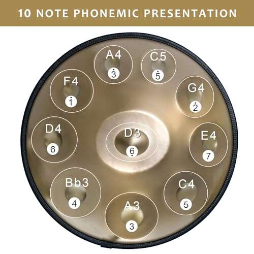 Best Steel Drum For Beginners: Top Beginner Picks