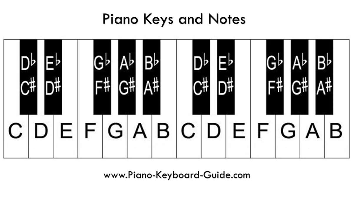 What Are The Notes On A Piano: Simple Piano Notes Guide