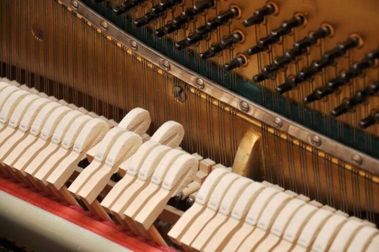 Is The Piano A String Instrument: Explained Simply