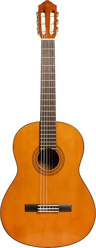 Best Classical Guitar For Under 500