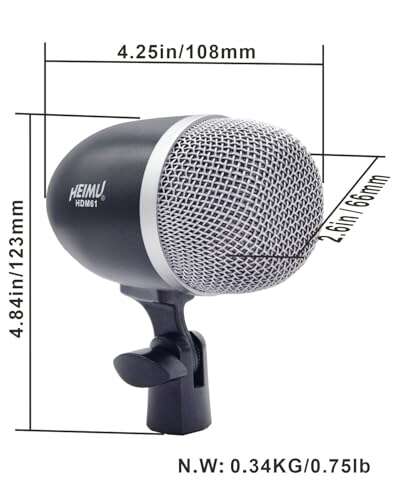 Best Bass Drum Mic For Recording
