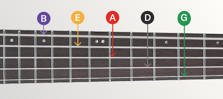 How Many Strings On Bass Guitar: Complete Guide