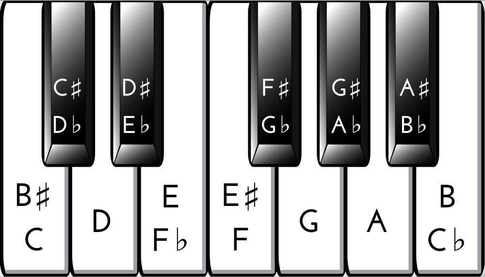 How Many Black And White Keys On A Piano: Key Facts