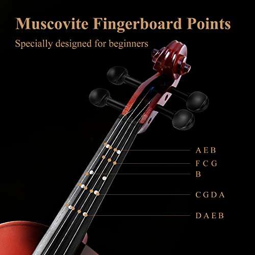 Best Violin Brands For Students