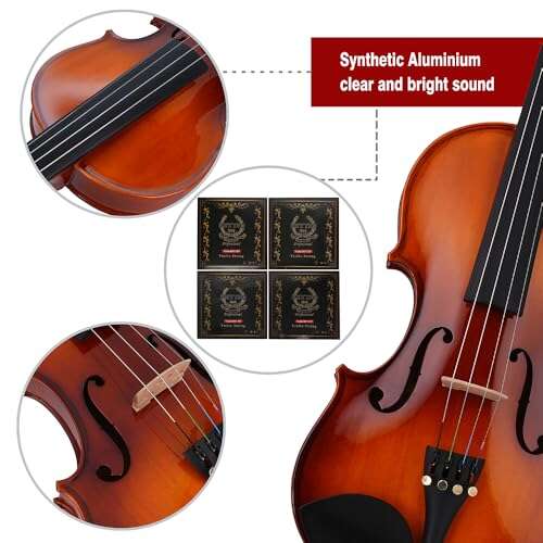 Best Student Violin For The Money
