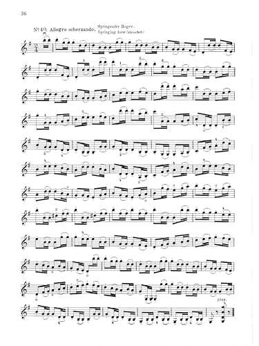 Best Violin To Buy For Advanced Students