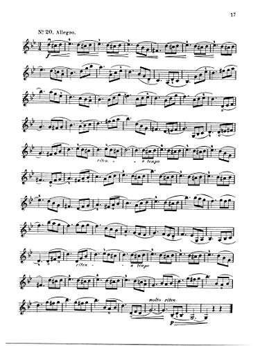 Best Violin Brands For Advanced Players